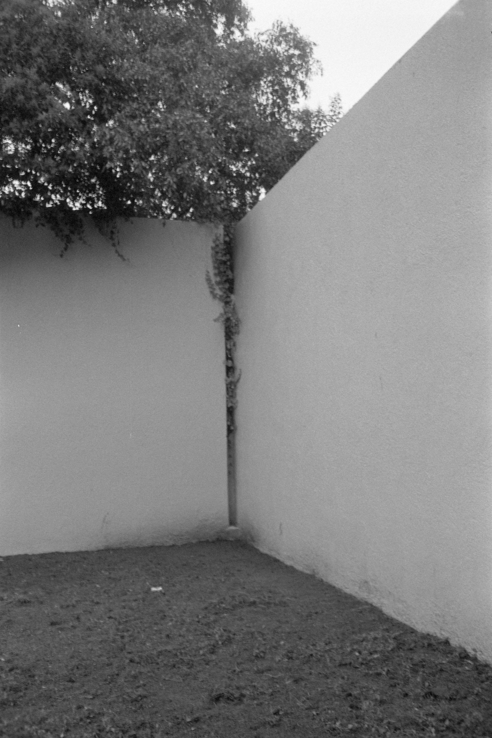 AHP FilmScan 240807 0589